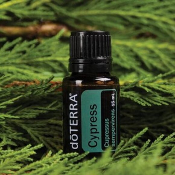 doTerra Essential Oil - Cypress - Picture 1 of 1